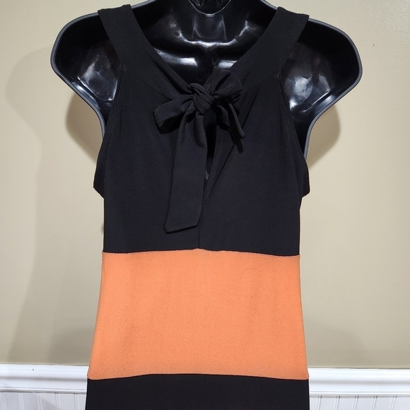 Blu Sage Color Block Jumper Dress Size M. - Picture 7 of 10